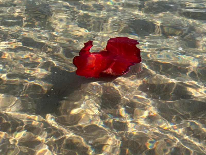 WhatsApp-Image-2025-11-08-at-17.57.07-3